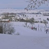 Spaziergang mit dem Körper und für das Gehirn