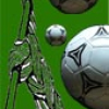 England und Frankreich im Finale? Verlauf der Fußball-EM lässt sich mit Algorithmus aus der Bioinformatik berechnen