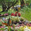 Uni-Sommerfest am 14. Juli im Neuen Botanischen Garten