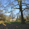 Aktion gegen Südeingang zum Alten Botanischen Garten am 11. November