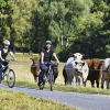 Region Marburg-Biedenkopf mit dem Rad entdecken