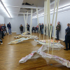„Milieu und Fazies“ in der Willingshäuser Kunsthalle – Emilia Neumann präsentiert ihre Werke als Stipendiatin