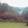 Ausbau der A49: DEGES bricht Wort mit Baumfällarbeiten im Dannenröder Forst und Maulbacher Wald