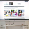 St. Elisabeth-Verein: Umgestaltung der Webseiten für die Nutzer/innen