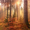 Was macht der Herbst mit uns?