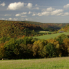 Speicherung von Kohlenstoff im Ökosystem und Substitution fossiler Brennstoffe Klimaschutz mit Wald
