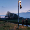 Weniger Licht – für mehr Insekten: Internationale Dark Sky Week vom 5. bis 12. April 2021