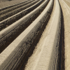 Umweltverträgliche Landwirtschaft braucht ein neues Landwirtschaftsgesetz