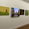 Sehenswerte Naturfotos von Lutz Klapp in der Kunsthalle Willingshausen