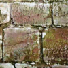 Workshop Natursteinmauern und Trockenmauerwerk
