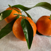 An eine Orange
