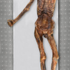 Neue Genom-Rekonstruktion: Ötzi hatte Vorfahren aus Anatolien