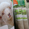 Schafswolle wird Grundstoff für neues Produkt – Wollrasen für den Garten