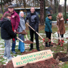 Magnolie als Symbol für Frieden und Nachhaltigkeit im Ludwig-Schüler-Park