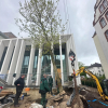 Offene Räume für Begegnung im Biegenviertel