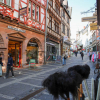 Einzelhandel und Stadtentwicklung – In Marburg startet Online-Befragung