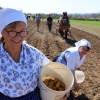 Aktionsangebote zum Tag der Landwirtschaft am 29. Juni