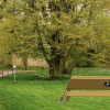 Kunstprojekt Verweilort Hexenbesen nahe Hainbuche im Alten Botanischen Garten