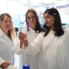 Von der Schule ins Forschungslabor: Austausch über Phagen in der Marburger Mikrobiologie