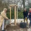 Baumpflanzsaison im Bergpark Wilhelmshöhe von Timon Gremmels eröffnet
