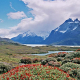 Patagonien –  Exkursionen im Bildervortrag rund um den Nahuel-Huapi