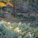 Botanischer Garten als ein noch nicht geborgener Schatz –  Podiumsdiskussion zur Zukunft von Gärten