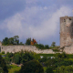 Stadt Wetter erhält Denkmalförderung für die Burgruine Mellnau