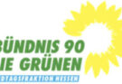 GRÜNE MdL Herz kritisiert Bildungskürzungen an Hessens Schulen im Landeshaushalt 2026